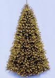 8.5' Downswept Douglas Fir Pre-Lit PE Artificial Christmas Tree - Clear Lights