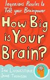 How Big Is Your Brain?: Interactive Puzzles to Test Your Brainpower