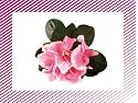 100 bons points Les fleurs