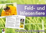 Feld- und Wiesentiere - Fotokarten mit Sachinfos - Heike Jung