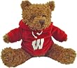Wisconsin Badgers NCAA Hoodie Bears