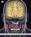 The Brain