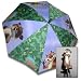 DreamWorks OVER THE HEDGE NYLON UMBRELLA W/RJ Handle