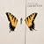 Brand New Eyes