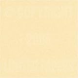 Passport Smooth Chamomile 24# #10 Envelope 250/pack