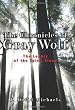 The Chronicles of Gray Wolf: The Legacy of the Spirit Stone