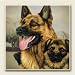 AbsorbaStone Coaster set~ German Shepherd ~4 Tile Drink Coasters ~ code 831C