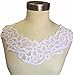 2 Pieces, Pretty Neckline Applique Floral, Swirl, and Dot Venise Lace, White, 6.5