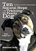 Ten Natural Steps to Training the Family Dog DVD 1