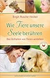 Produkt-Bild: Wie Tiere unsere Seele ber&uuml;hren. Das Verhalten von Tieren verstehen