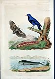 *125 H/C NATURAL HISTORY by BARON, FRIES, PERDETTI 1839