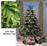 Asheville Frasier Fir – 6.5′ – Artificial Christmas Tree – Clear Lights