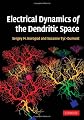 Electrical Dynamics of the Dendritic Space