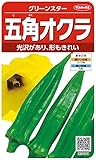 サカタのタネ 実咲野菜1370 五角オクラ グリーンスター 00921370 サカタのタネ 実咲野菜1370 五角オクラ グリーンスター 00921370