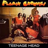 Teenage Headpar The Flamin' Groovies