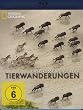 Das gro�e Wunder der Tierwanderungen Teil 1 - National Geographic [Blu-ray]