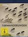 Das große Wunder der Tierwanderungen Teil 1 - National Geographic [Edizione: Germania]