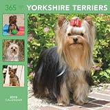 HyperLink