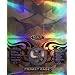 MAX Protection 9 Pocket Pages Box (100)
