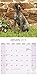 German Shorthaired Pointer Calendar - Only Dog Breed German Shorthaired Pointer Calendar - 2016 Wall calendars - Dog Calendars - Monthly Wall Calendar by Avonside