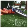 Point of View (written by Ivy)