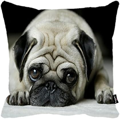 i FaMuRay Indoor/Outdoor Decorative Throw Pillow, 18x18-Inch, Funny Pug Dog Face Big Eyes