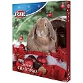 Trixie 9270 Adventskalender f�r Kleintiere