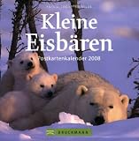 Produkt-Bild: Kleine Eisb&auml;ren, Postkartenkalender 2008
