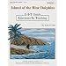 Island of the Blue Dolphins: L-I-T Guide