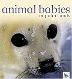 Animal Babies In Polar Lands