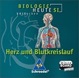 Herz und Blutkreislauf