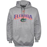 adidas Florida Gators Ash Book Smart Hoody Sweatshirt