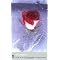 Books that will stay with me (read in 2008)