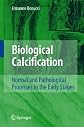 Biological Calcification: Normal and Pathological Processes in the Early Stages