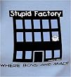 STUPID FACTORY T-SHIRT (boys are stupid series)