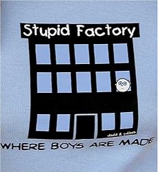 STUPID FACTORY T-SHIRT (boys are stupid series)