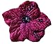 Cuteque International 6-Piece Soft Velvet Cherry Blossom Sequin Embellishment, Eggplant
