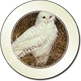 WHITE BARN OWL Tax Disc Holder