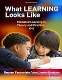 What Learning Looks Like: Mediated Learning in Theory and Practice, K-6