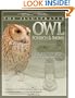 The Illustrated Owl: Screech & Snowy: The Ultimate Reference Guide for Bird Lovers, Woodcarvers, and Artists (The Denny Rogers Visual Reference series)