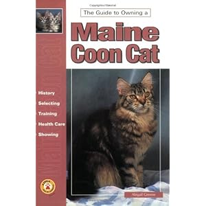 Guide to Owning a Maine Coon Cat: Grooming, Feeding, Handling, Health, Exhibition