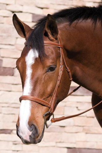 Henri de Rivel Horse Fancy Raised Padded Bridle w/ Laced Reins Pro Collection
