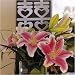Stylized Hearts Brushed Silver Asian Double Happiness Cake Top