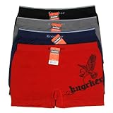 Eagle Print One Size Mens / Boys Seamless Stretch Athletic Style Assorted Colors Boxer / Brief / Trunk - Value 6 Pack