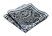 HISDERN Men's Paisley Pocket Square Handkerchief
