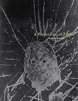 A Procession of Them (William and Bettye Nowlin Series in Art, History, and Cultur)