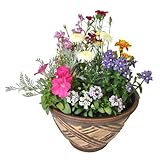 ���i�̏ڍ�