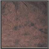 CowboyStudio 100% Cotton Hand Painted 6' X 9' Tie Dye Deep Brown Muslin Photo Background
