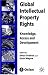 Global Intellectual Property Rights: Knowledge, Access and Development