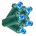 Philips LED Dome String Lights - Blue/ Green Wire